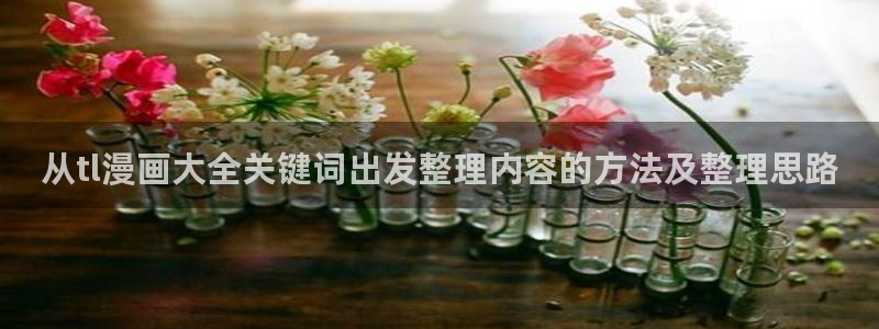梦漫漫画移动端